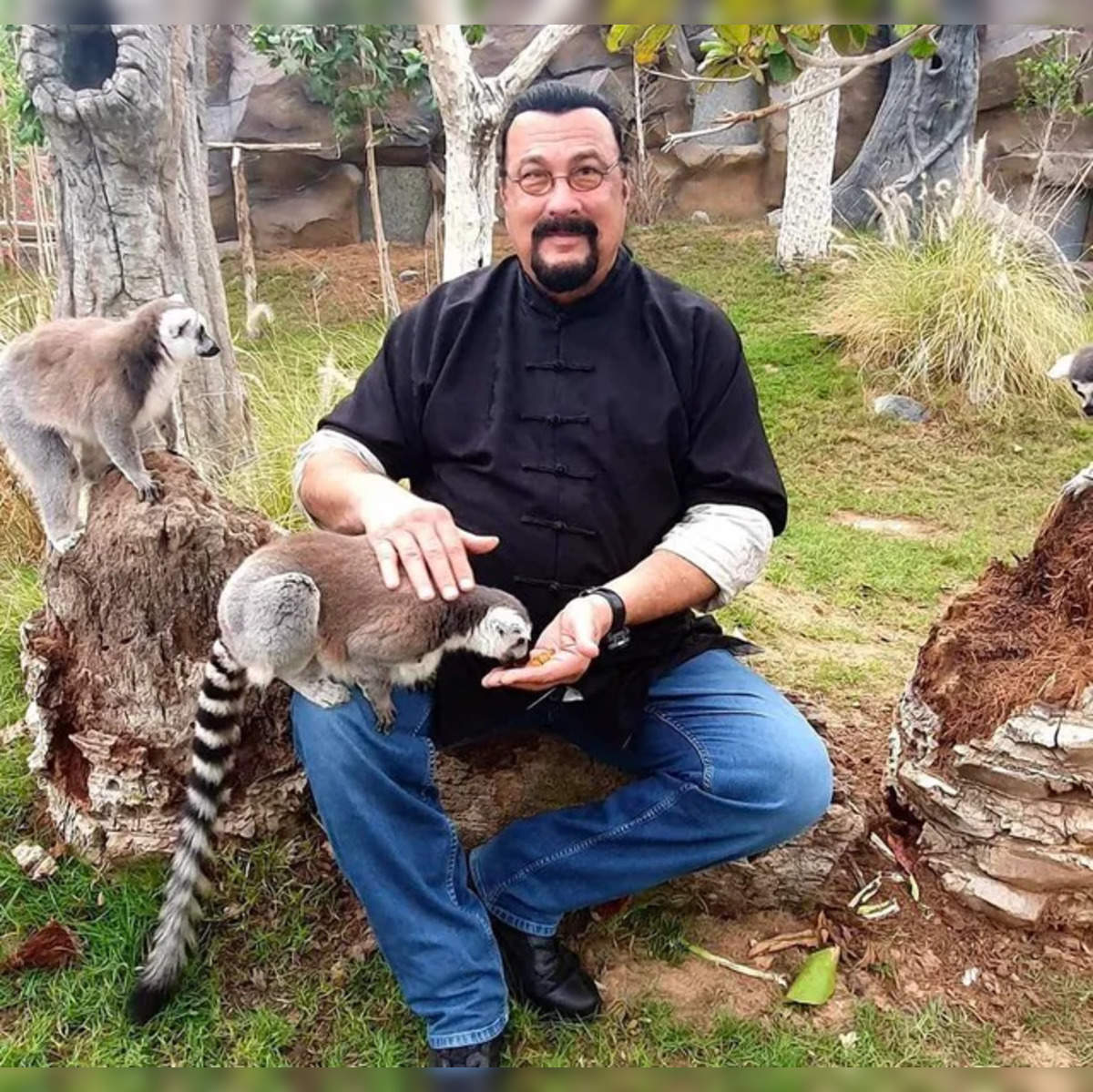 hard to kill steven seagal: 'Hard To Kill' actor Steven Seagal enjoys  zoo-day with ligar, wildlife - The Economic Times