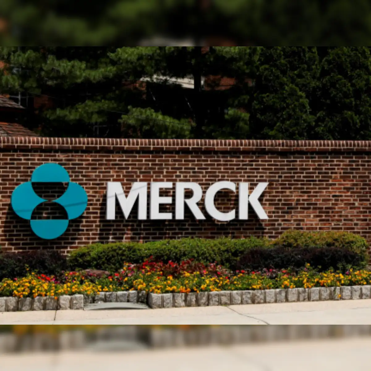 molnupiravir Vaccine: MSD in talks with Medicines Patent Pool for  additional licenses for molnupiravir - The Economic Times