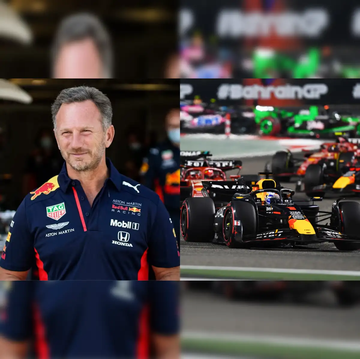 Horner는 전무 이사와 Red Bull Chief F1의 역할에서 제거되었습니다.