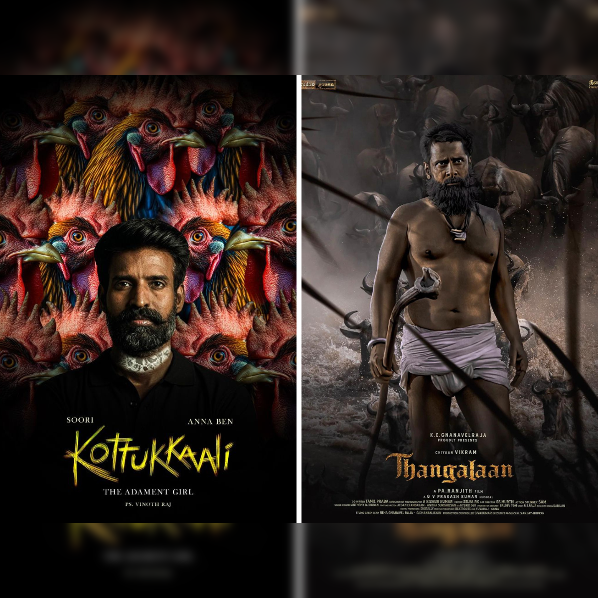 From Kottukkaali to Thangalaan Watch latest Tamil OTT releases streaming on Prime Video Disney Hotstar Netflix The Economic Times