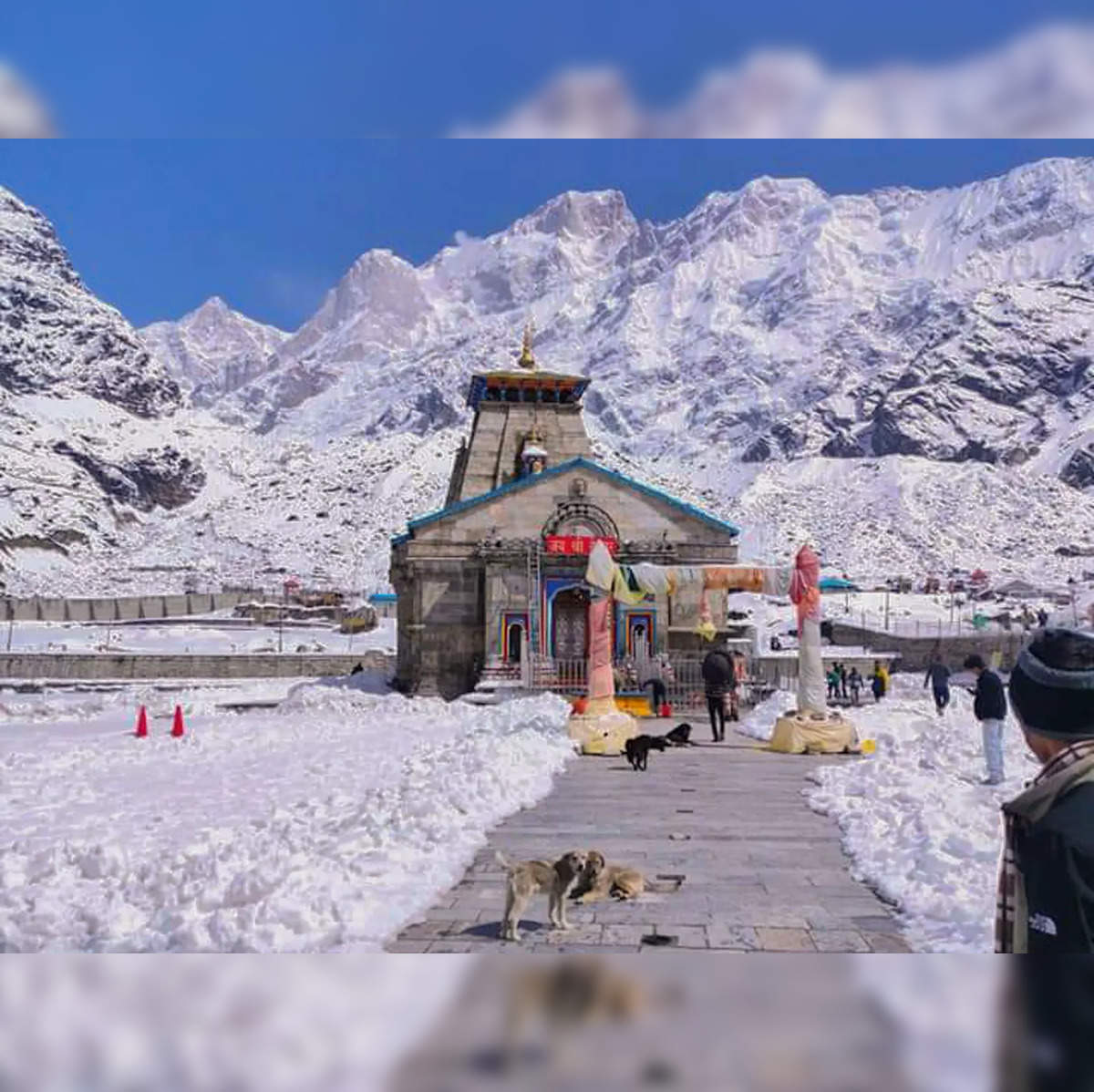 Kedarnath watch full movie on sale online