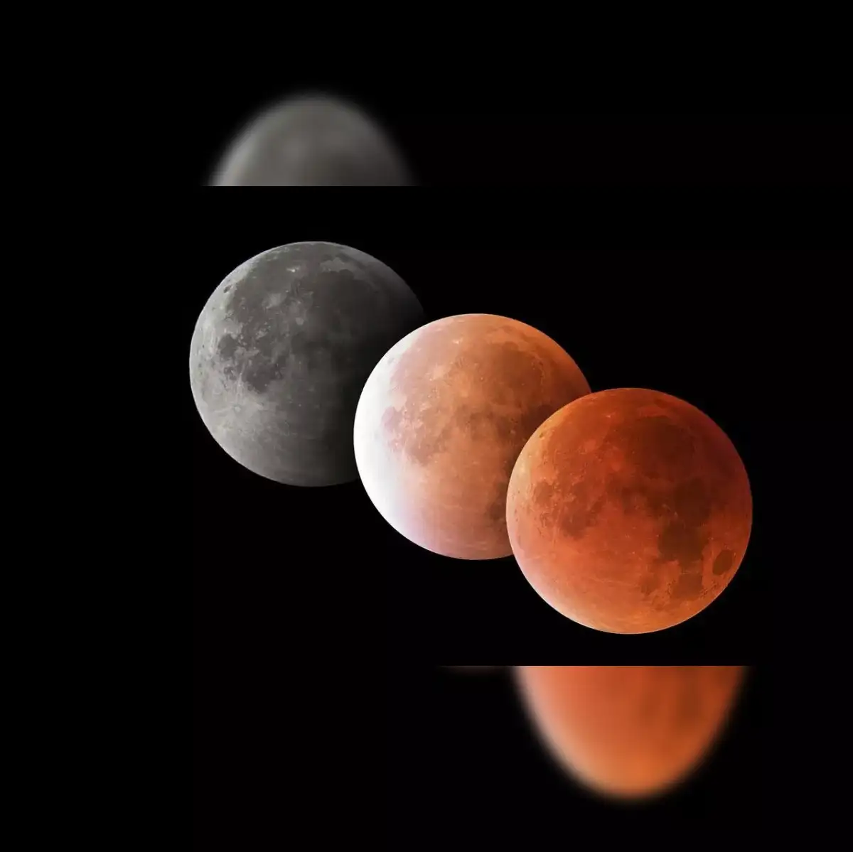 Lunar Eclipse Total Lunar Eclipse On Nov. 8 Is The Last You'll See For