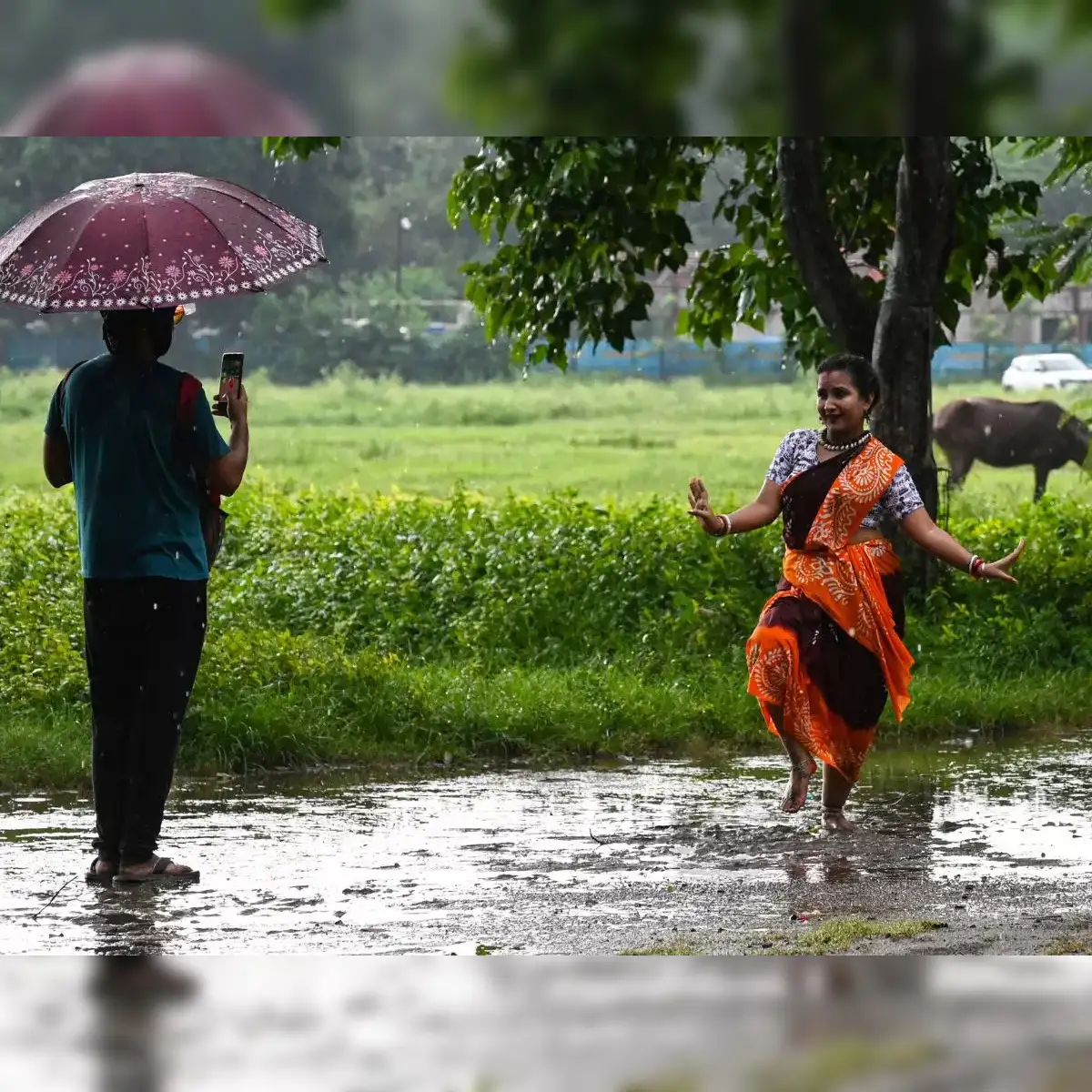 India Monsoon 2024, in facts & figures: Strong finish, good sowing - The  Economic Times