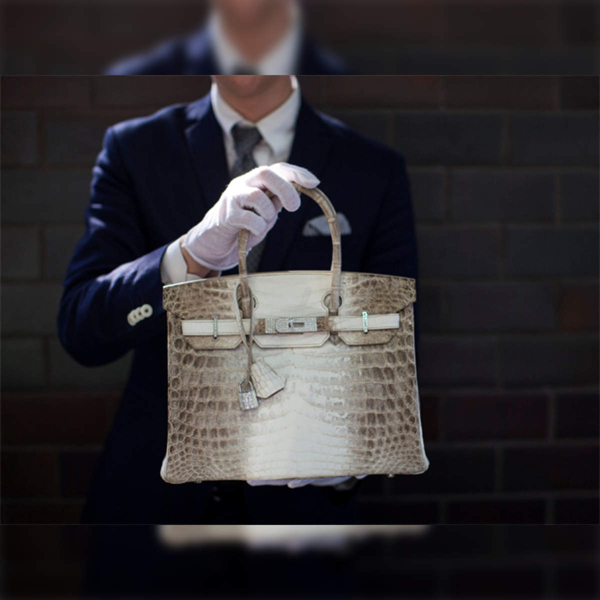 himlayan birkin: Here's why a Hermès Birkin bag has been making headlines -  The Economic Times
