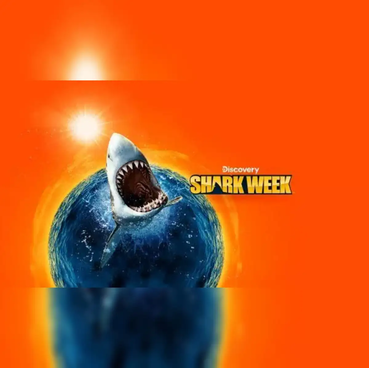 Colossus Shark 2025