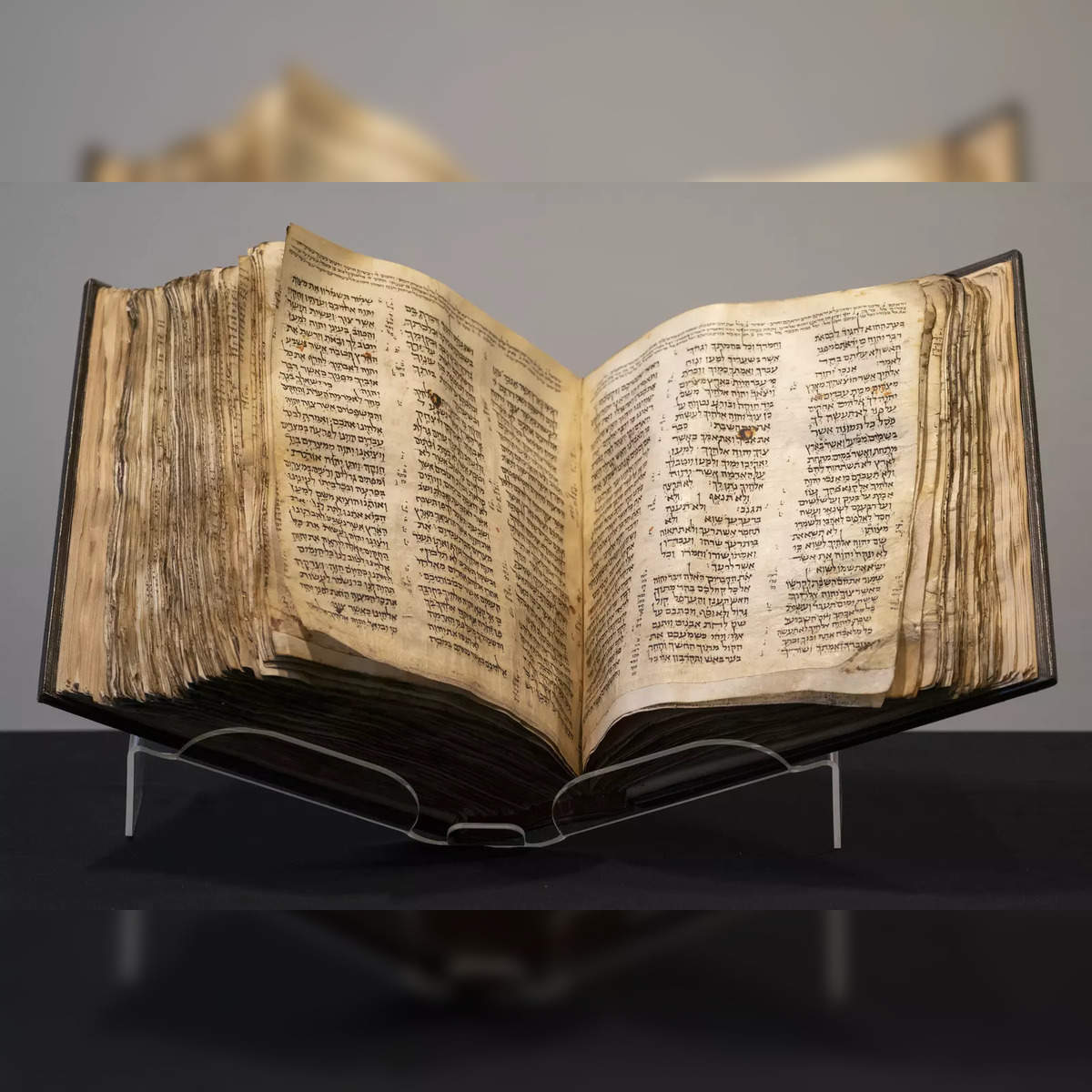 From Ancient Scrolls to Modern Bibles