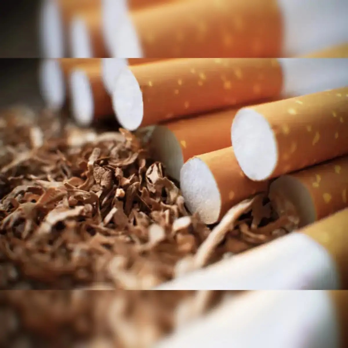 how to get cigarettes delivered to you near me Cigarettes: Buy Cigarettes Online with Home Delivery Near You