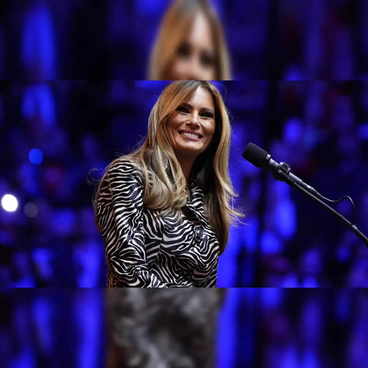 Melania Coin dips over 60%, Trump Coin follows with 50% plunge - The  Economic Times