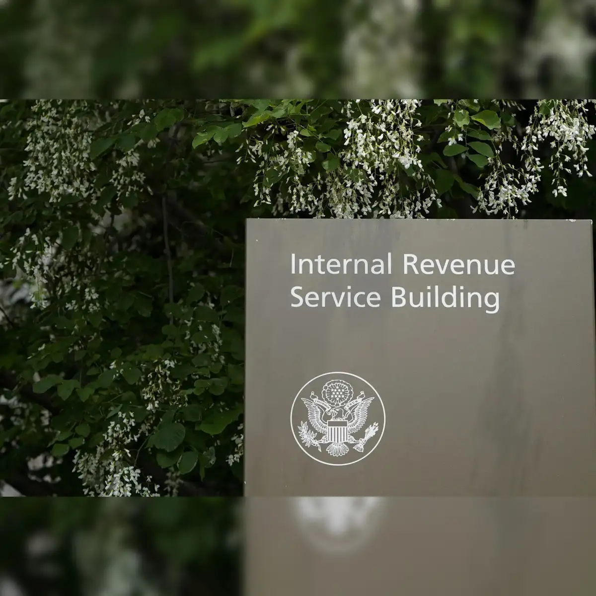 IRS revenue decline: Massive taxpayer exodus in the U.S? IRS braces for  huge $500 billion revenue hit after DOGE cuts spark taxpayer revolt - The  Economic Times