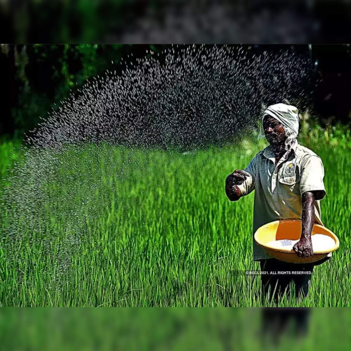 Govt looks at bio nutrients to move away from urea-based