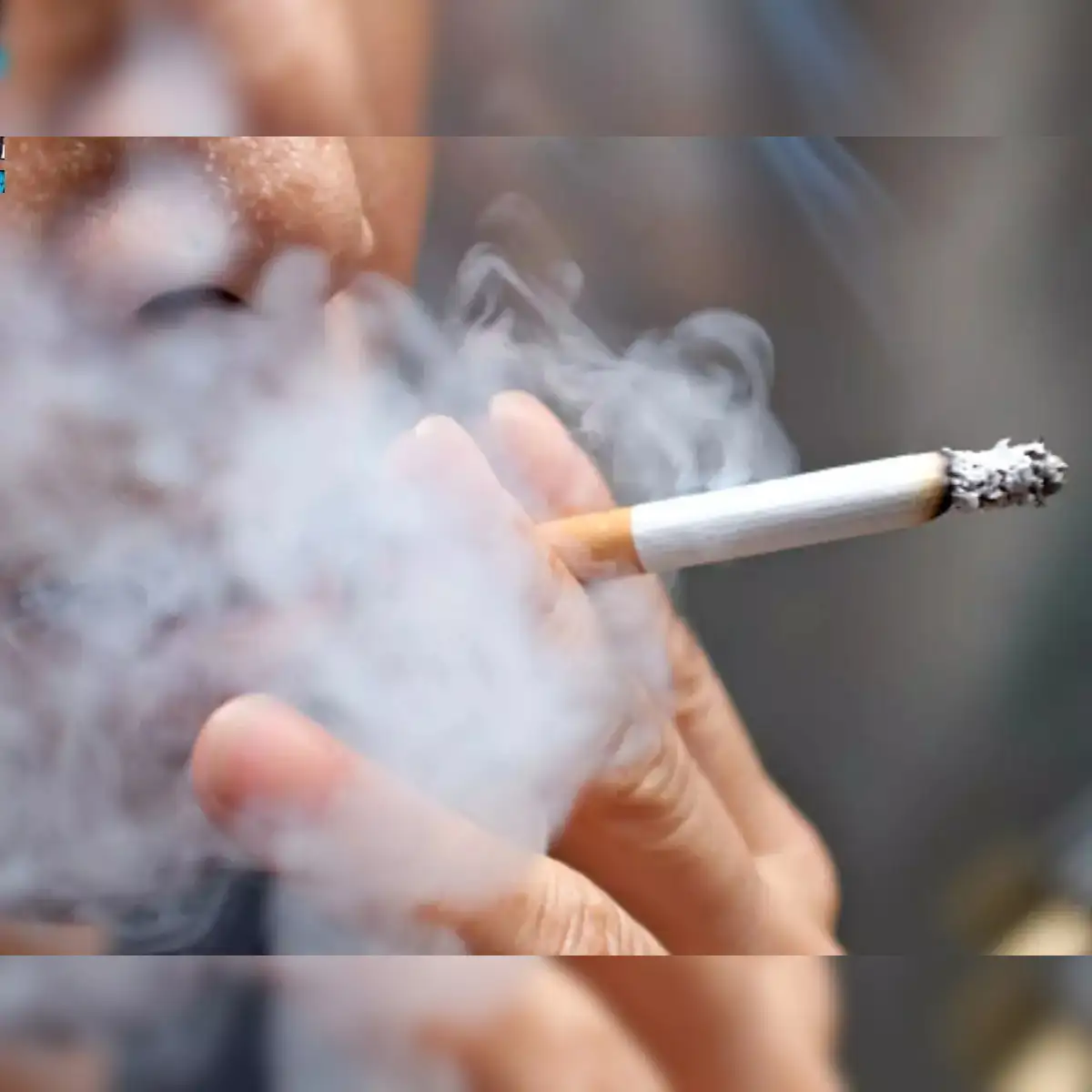 odt tobacco shop ODT Tobacco Shop (@odt_shop) • Instagram photos and videos