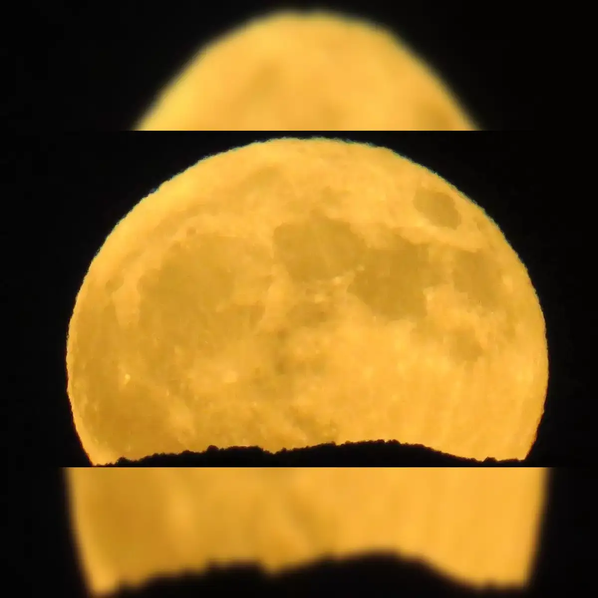 sparrow　AR×yellow moon October Harvest Full Moon Horoscope zodiac: October Harvest Full