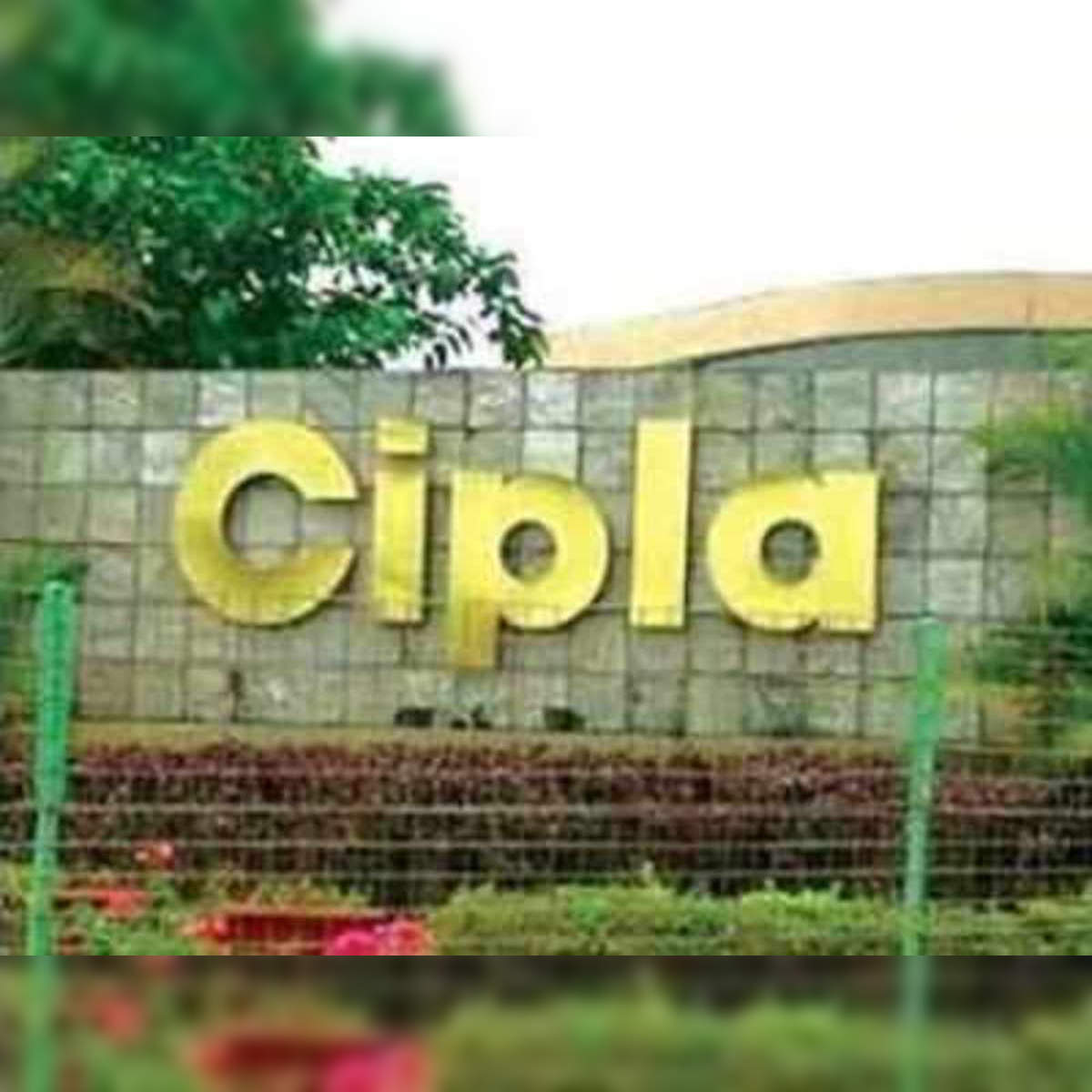 Hot Stocks | Here's why you should bet on Cipla and Oberoi Realty, sell  Tata Motors for short term