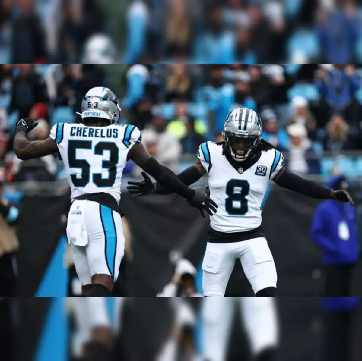 Carolina Panthers Bike 272 Carolina Panthers Mascot Stock Photos,