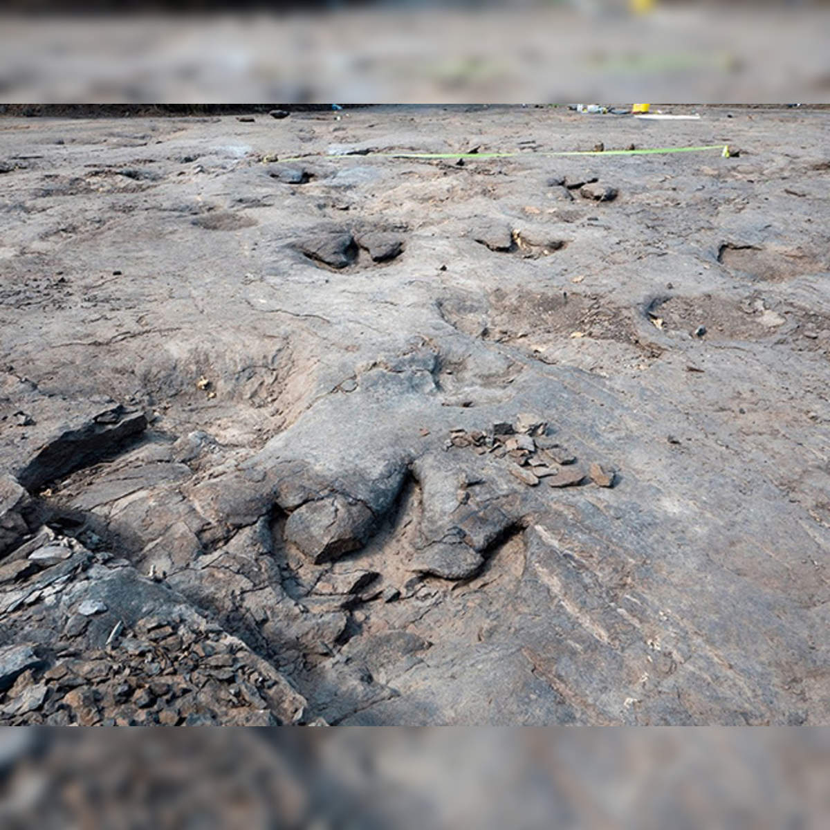 35-metre sauropod created world's longest dinosaur trackway - The Economic  Times