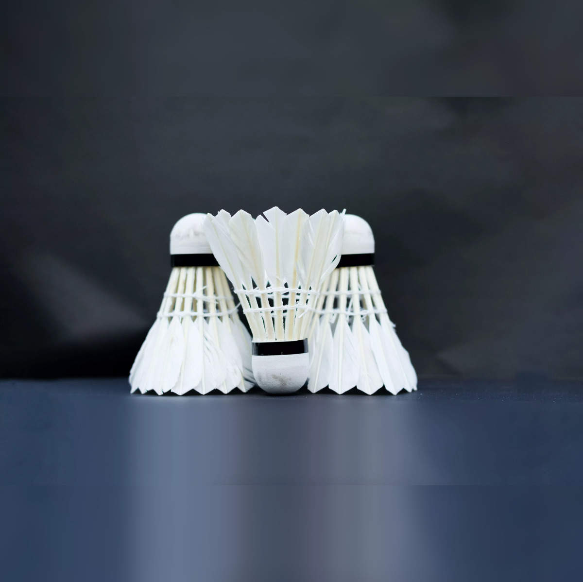 Best Shuttlecock Sets: 10 Best Shuttlecock Sets in India for an  Exhilarating Badminton Game (2023) - The Economic Times