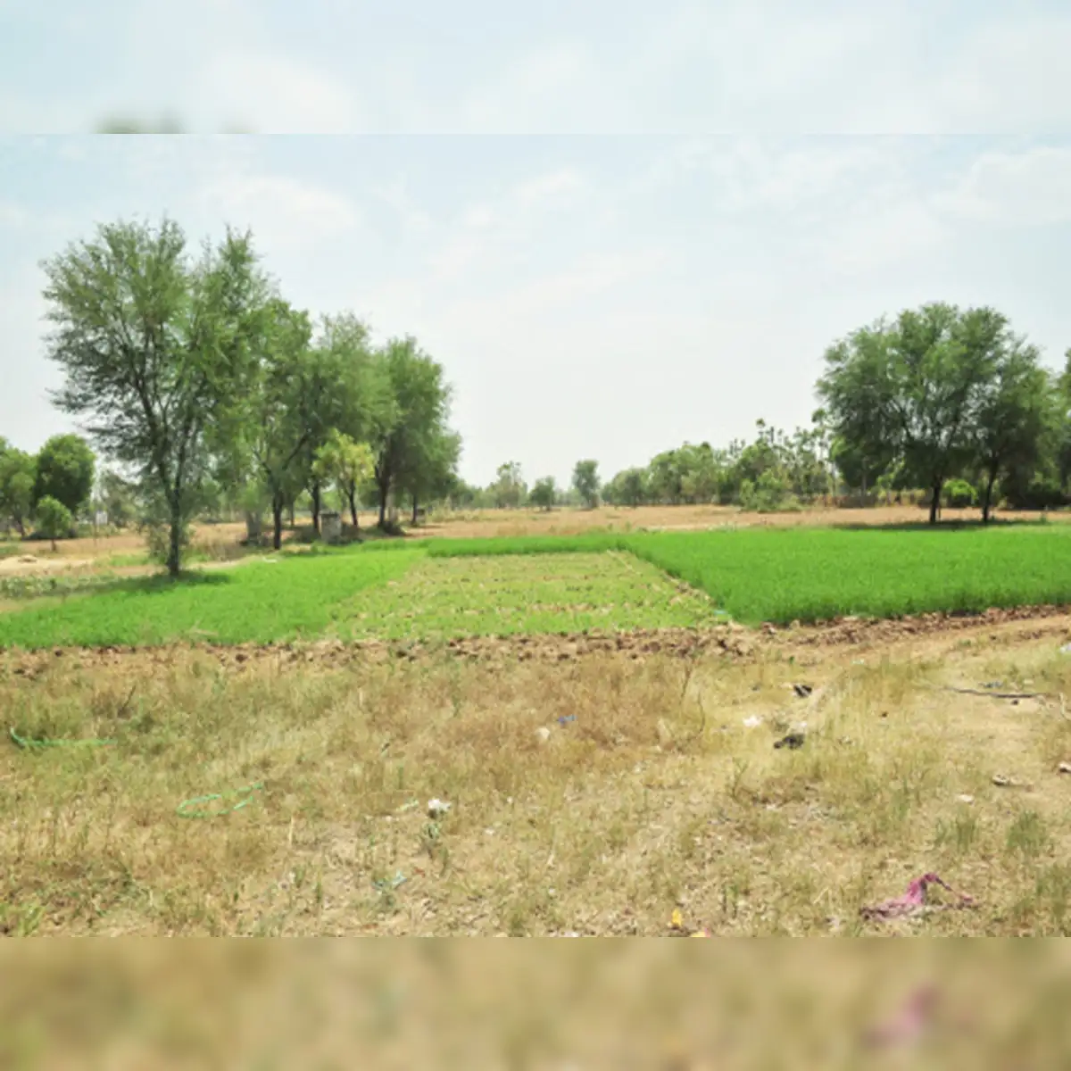 How is land loan different from home loan? - The Economic Times