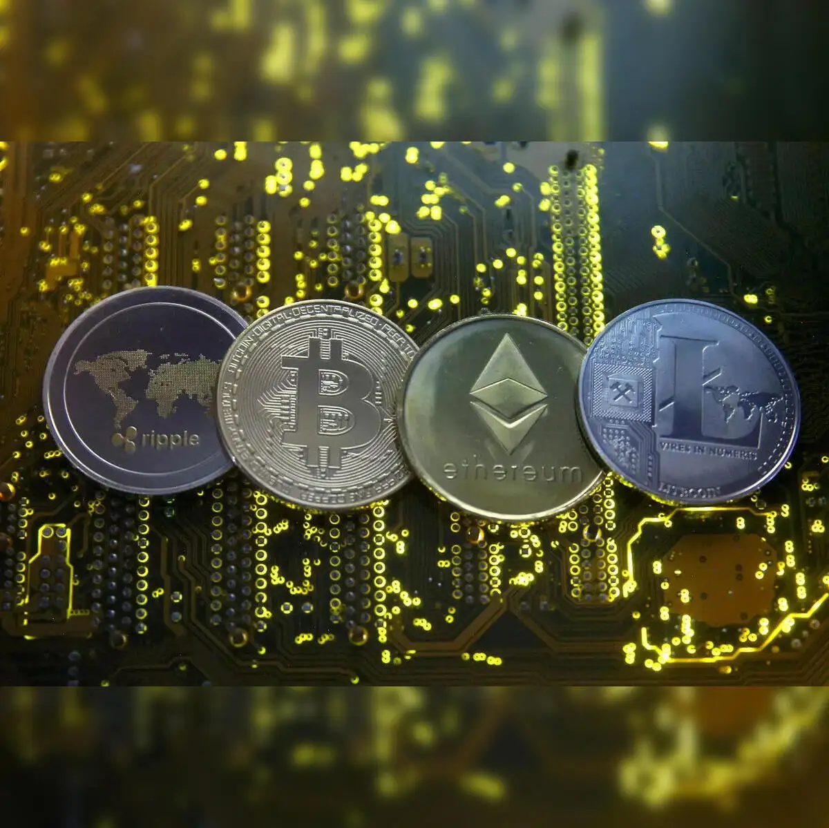 Crypto market dip: Crypto market or kangaroo market: Should you buy the  current dips? - The Economic Times