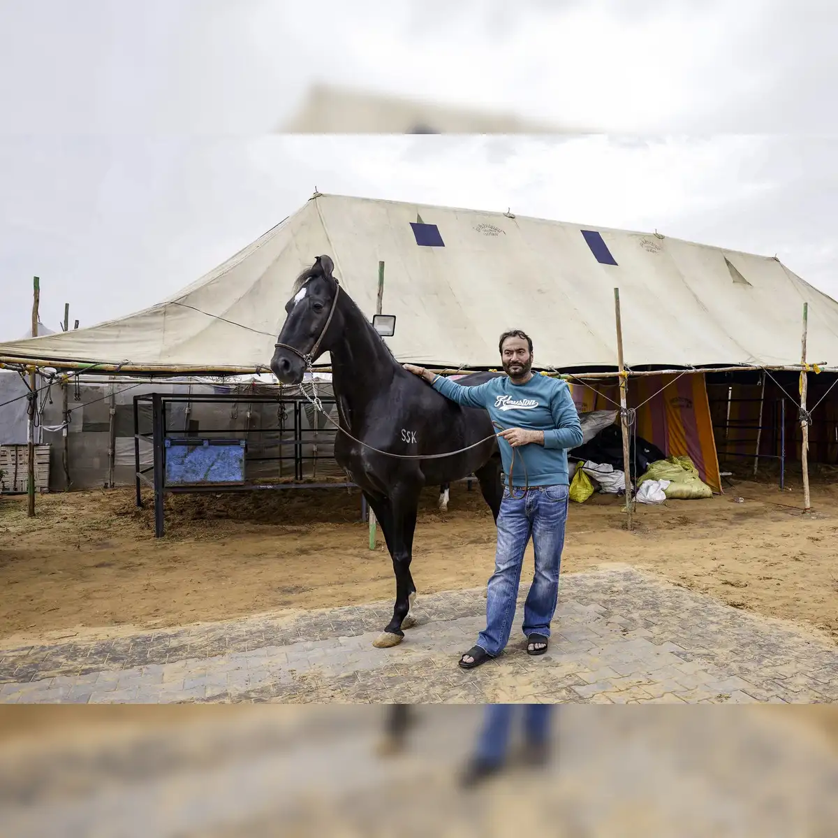 ₹15-crore stallion, ₹23-crore buffalo turn heads as Pushkar fair horse  sales eclipse cattle trade - The Economic Times
