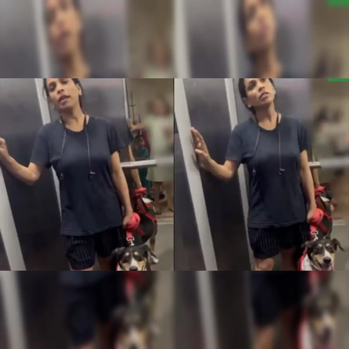 Noida Dog: Viral video ignites debate as dog owner refuses to muzzle pet in  Noida housing society lift - The Economic Times