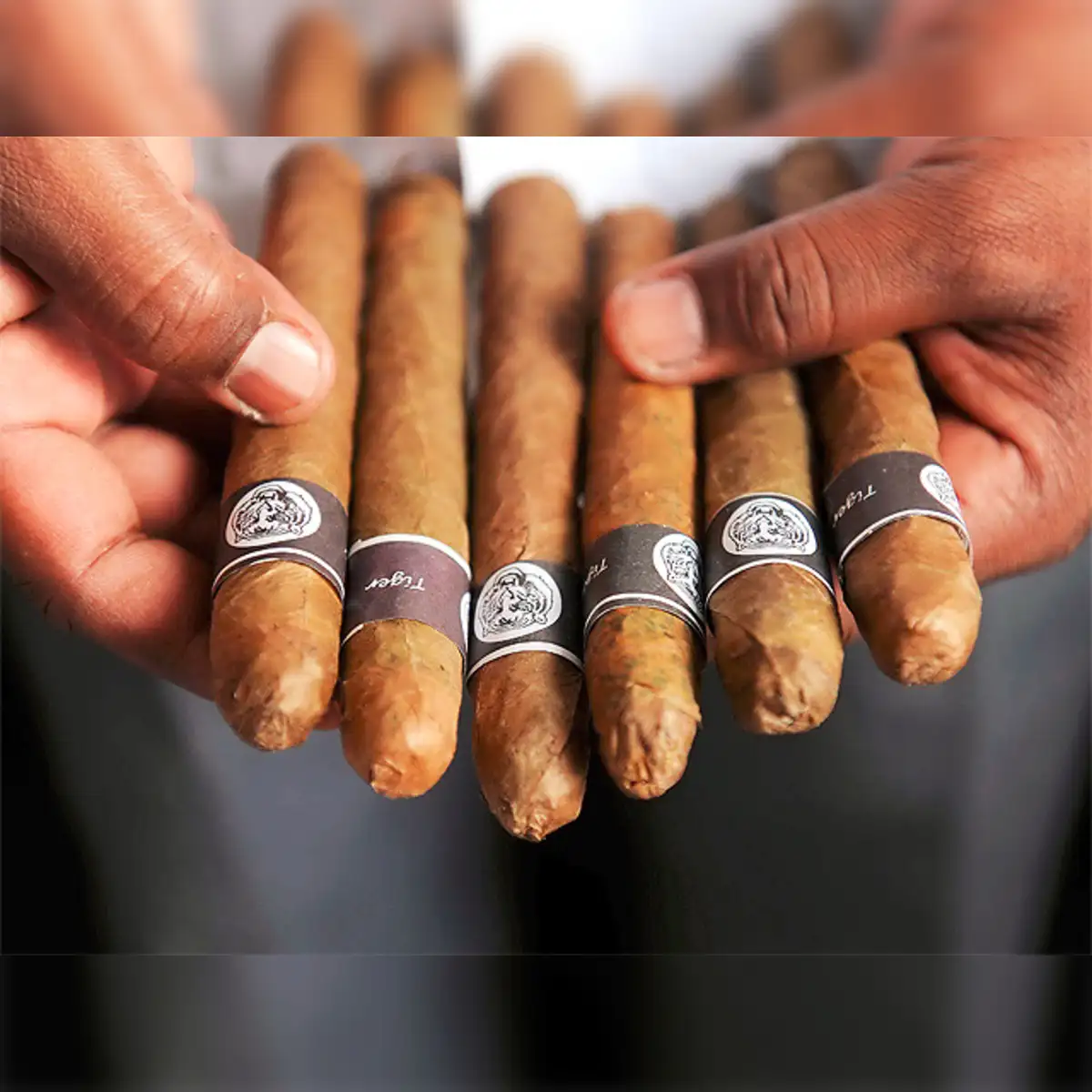 A Bengaluru club pays secret homage to cigar culture