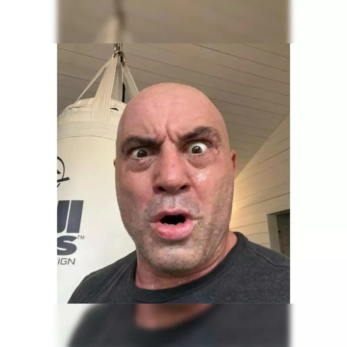 Joe Rogan Young