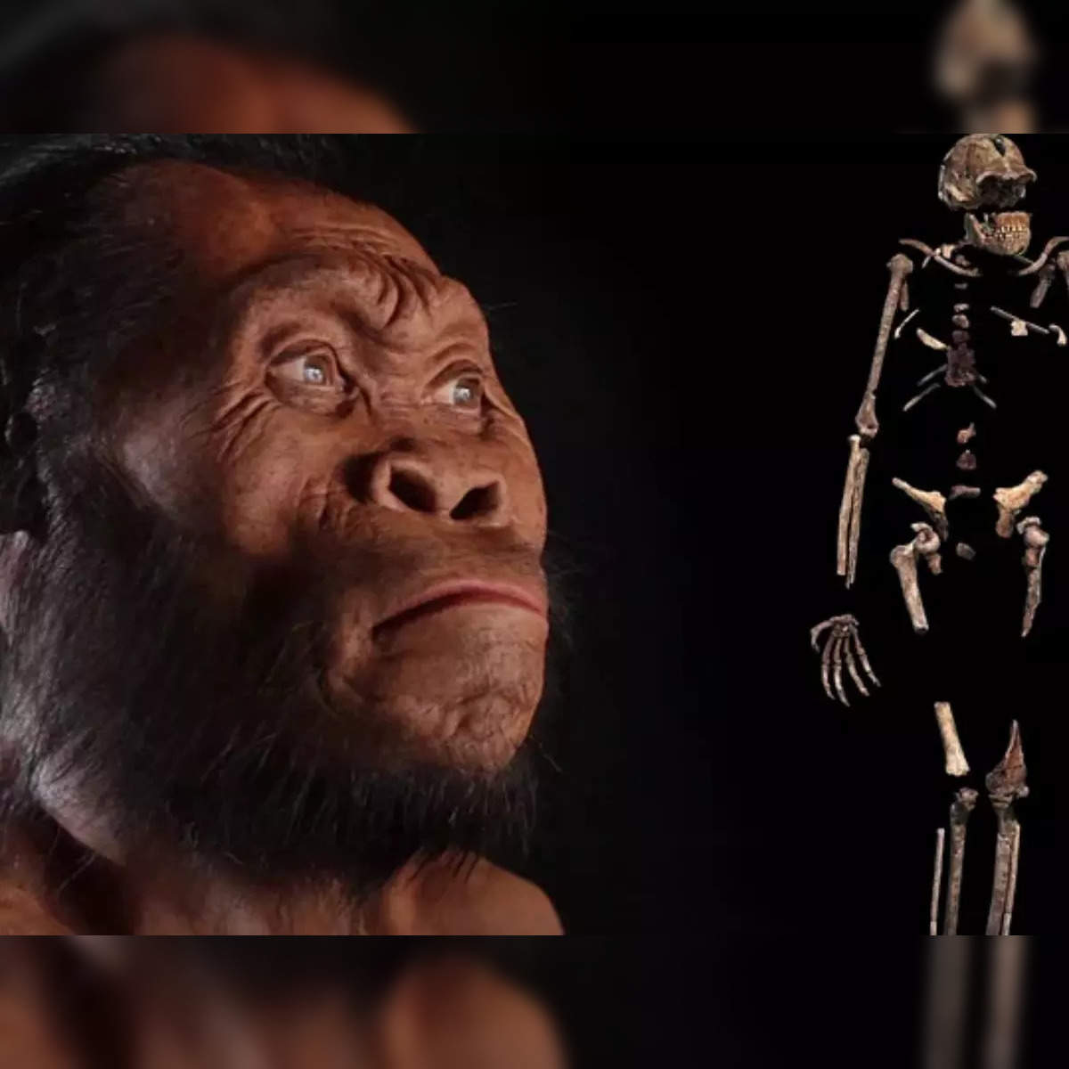 invention of rock art burying the dead should not be attributed to homo naledi