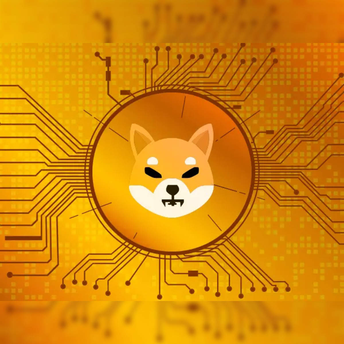 Shiba Inu 10 things investors need to know about Shiba Inu SHIB