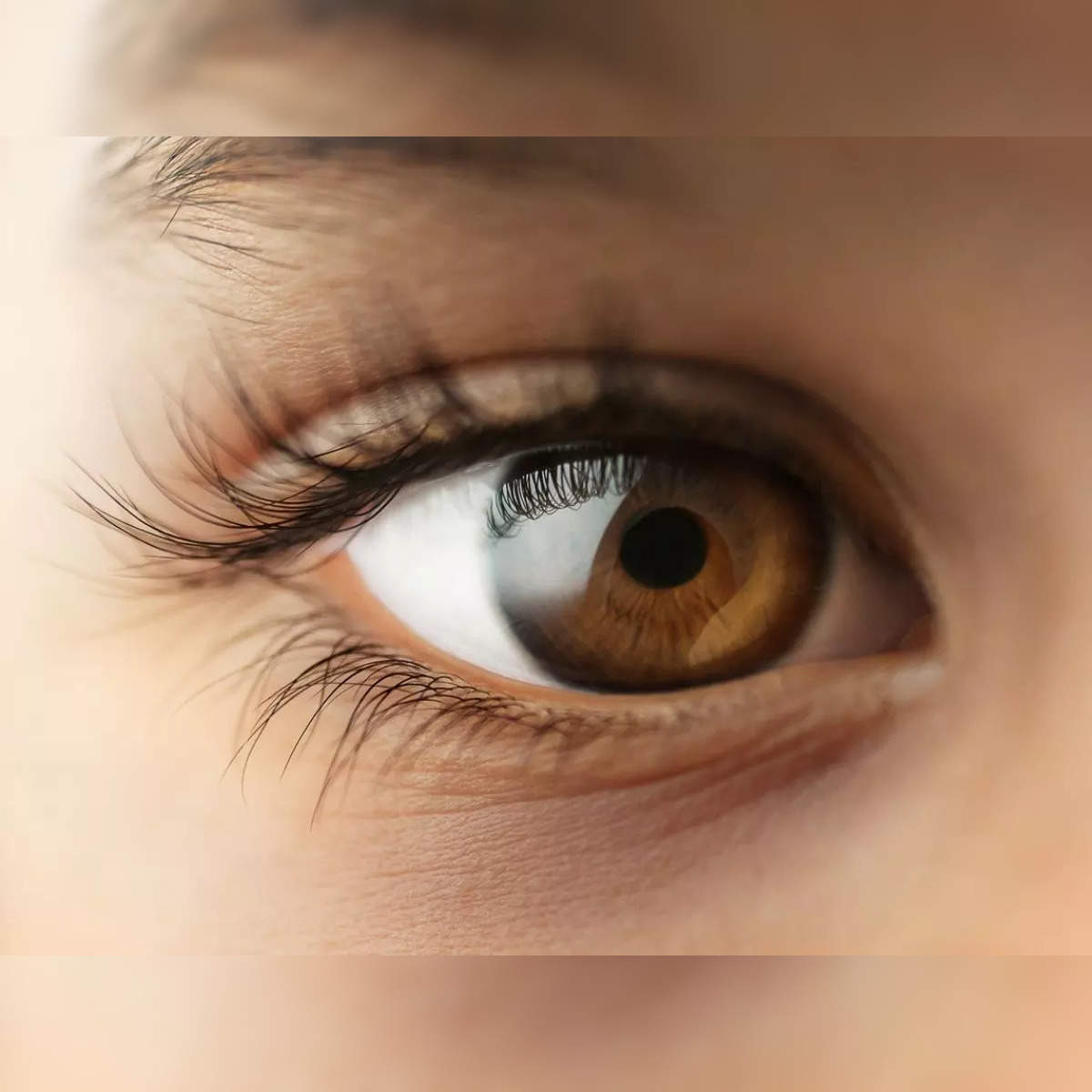 What Science Says About Sanpaku Eyes | Discover Magazine