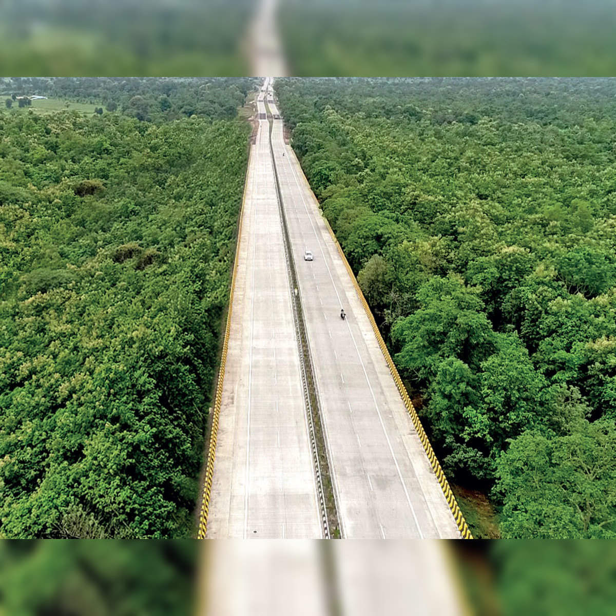 How an elevated stretch of NH 44 through Pench Tiger Reserve earned a  distinction - The Economic Times