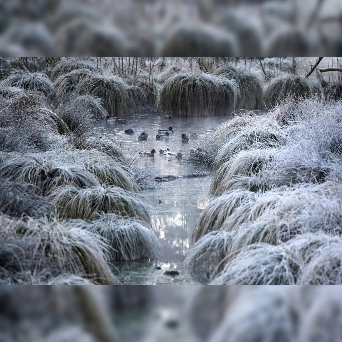 Schools closed as snow and weather warnings issued across UK The