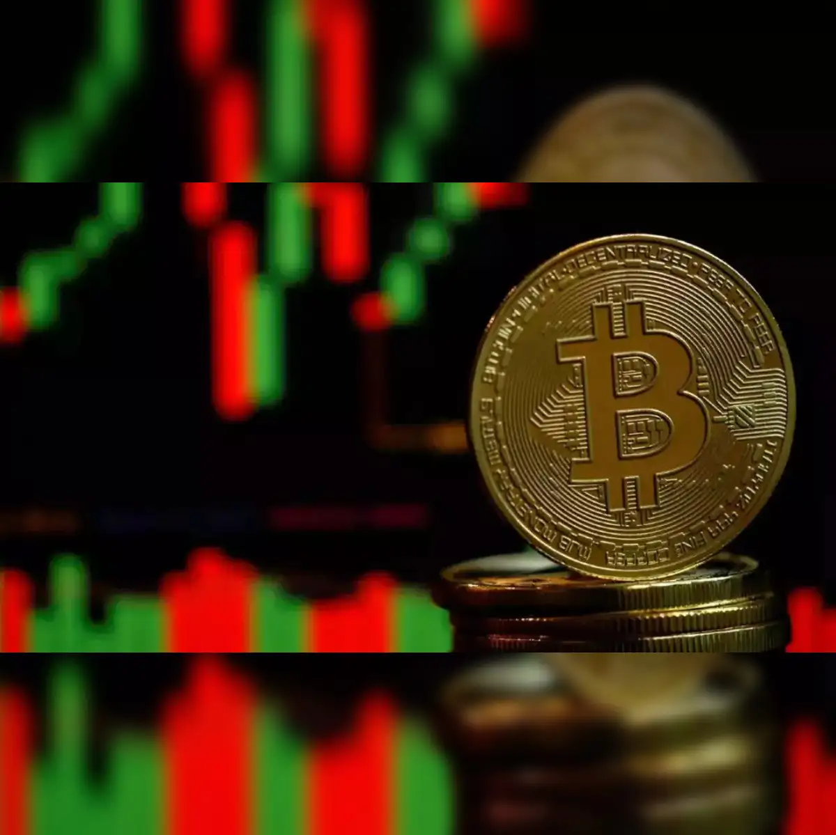 pledge: Crypto fundraising platform Pledge launches Carbon Offset Program -  The Economic Times