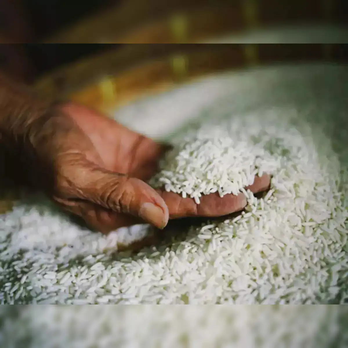 rice exports: Indian rice traders hike prices to mirror higher export duty - The Economic Times