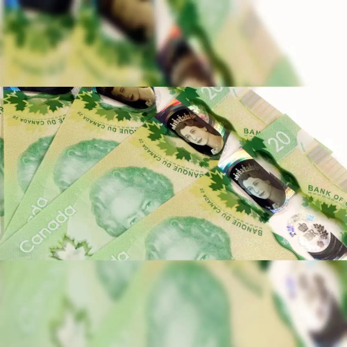 Canada faces unprecedented surge in compelling fake notes as organized  criminals exploit holiday shopping rush, Retail Council warns - The  Economic Times