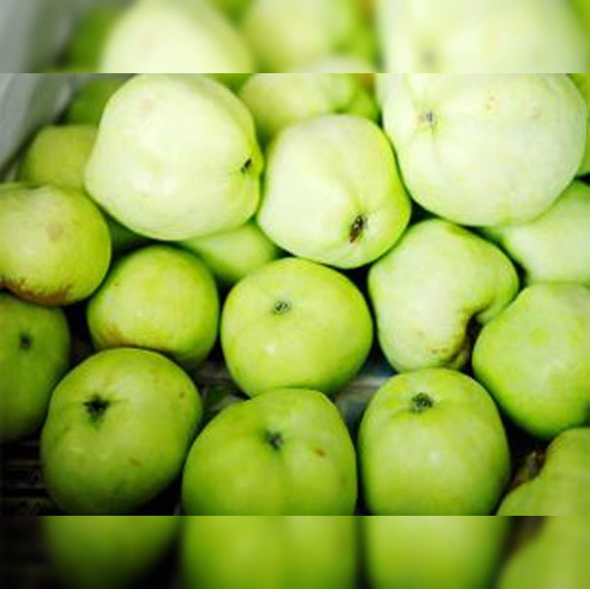 Large Granny Smith Apple - Each, Large/ 1 Count - Food 4 Less