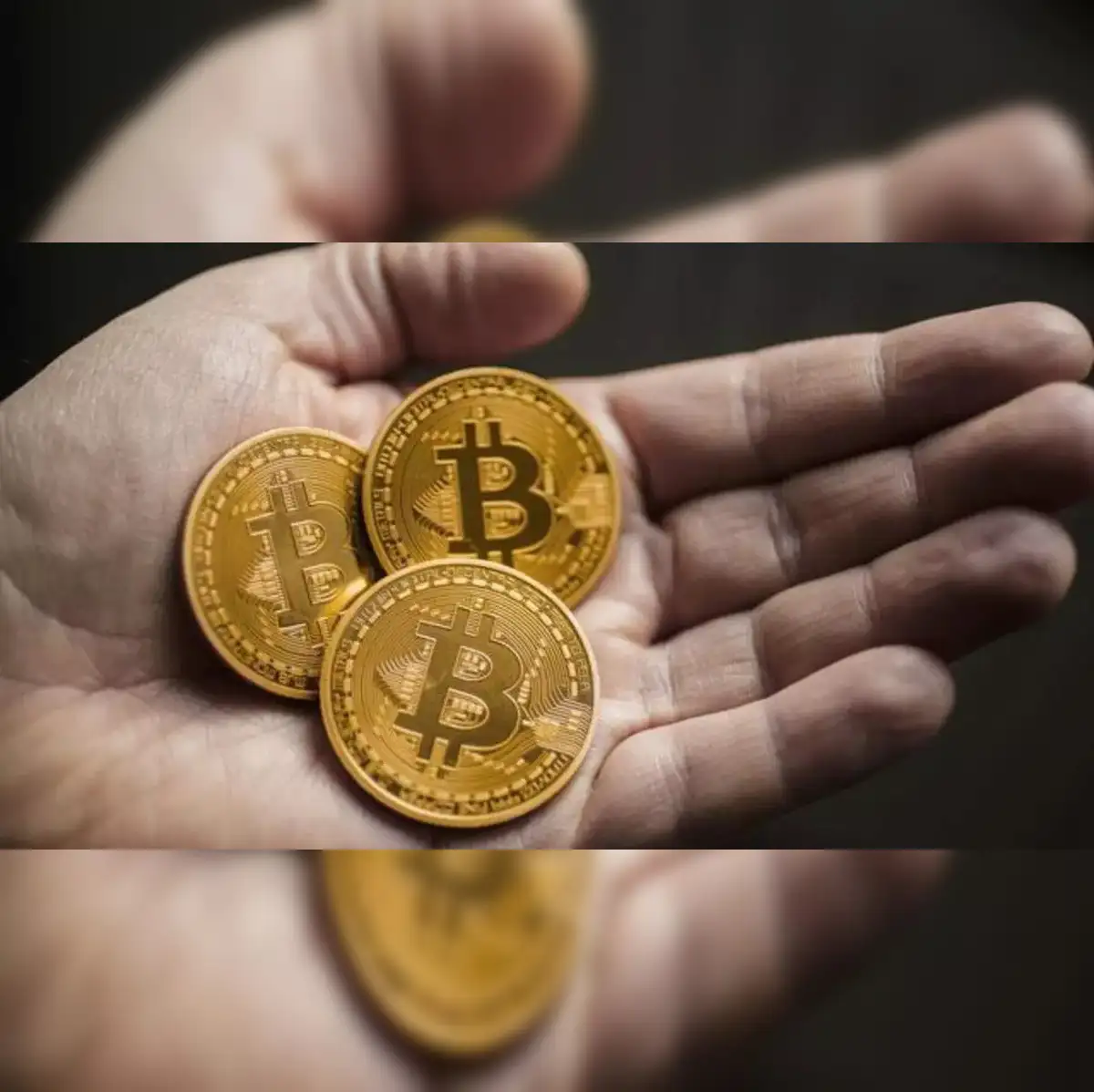 crypto: Indonesia launches new crypto bourse, clearing house - The Economic  Times