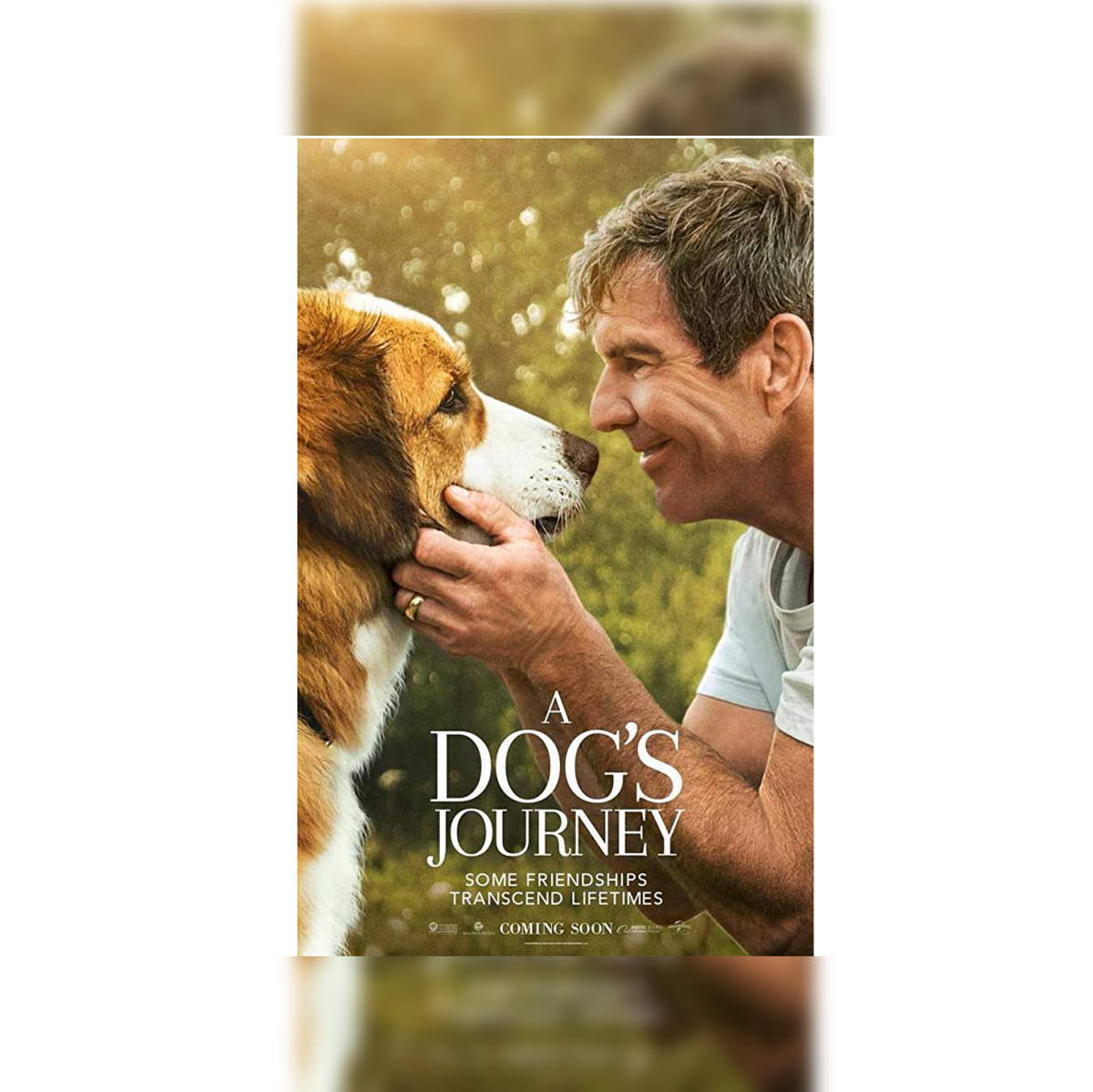 A dog's purpose cheap full movie free youtube