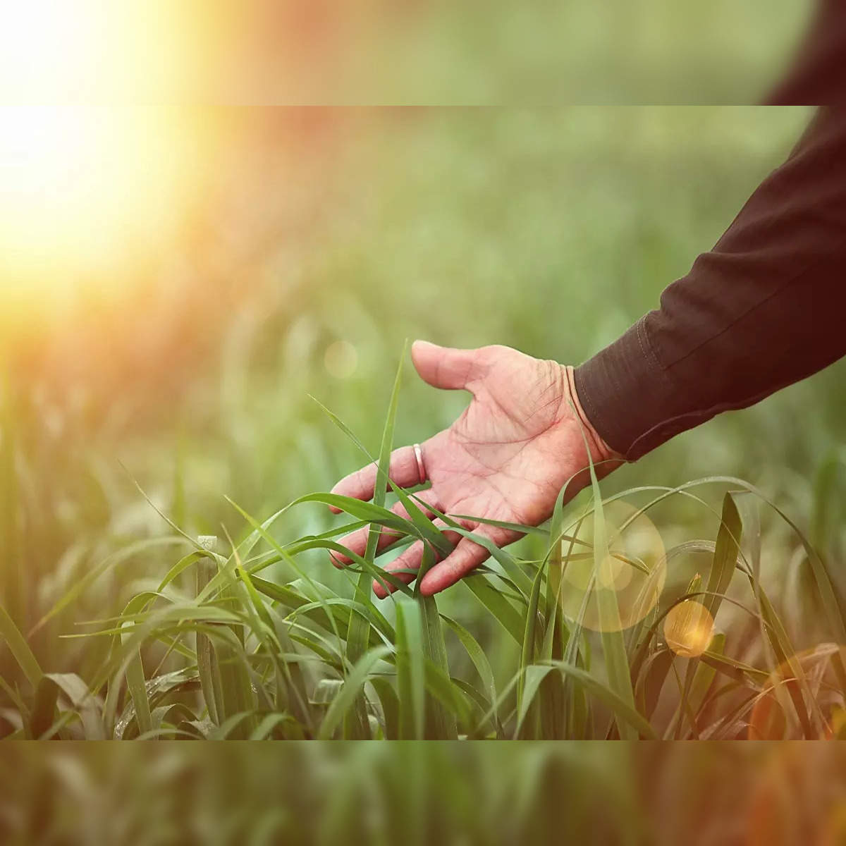 Touch Grass - A Ritual for Reconnecting with Nature