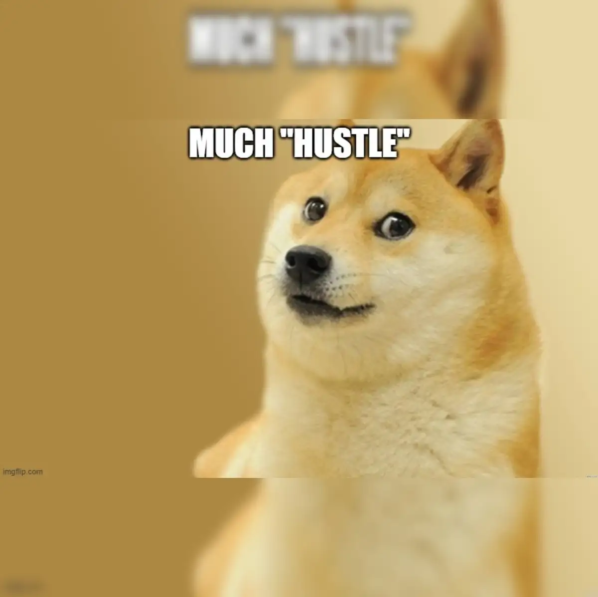 How to use 50 trillion Shiba Inu in Covid-hit, Crypto-wary India - The  Economic Times