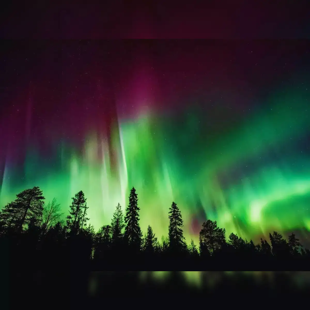 northern lights: Northern lights alert: Aurora may appear in multiple U.S.  states tonight - The Economic Times