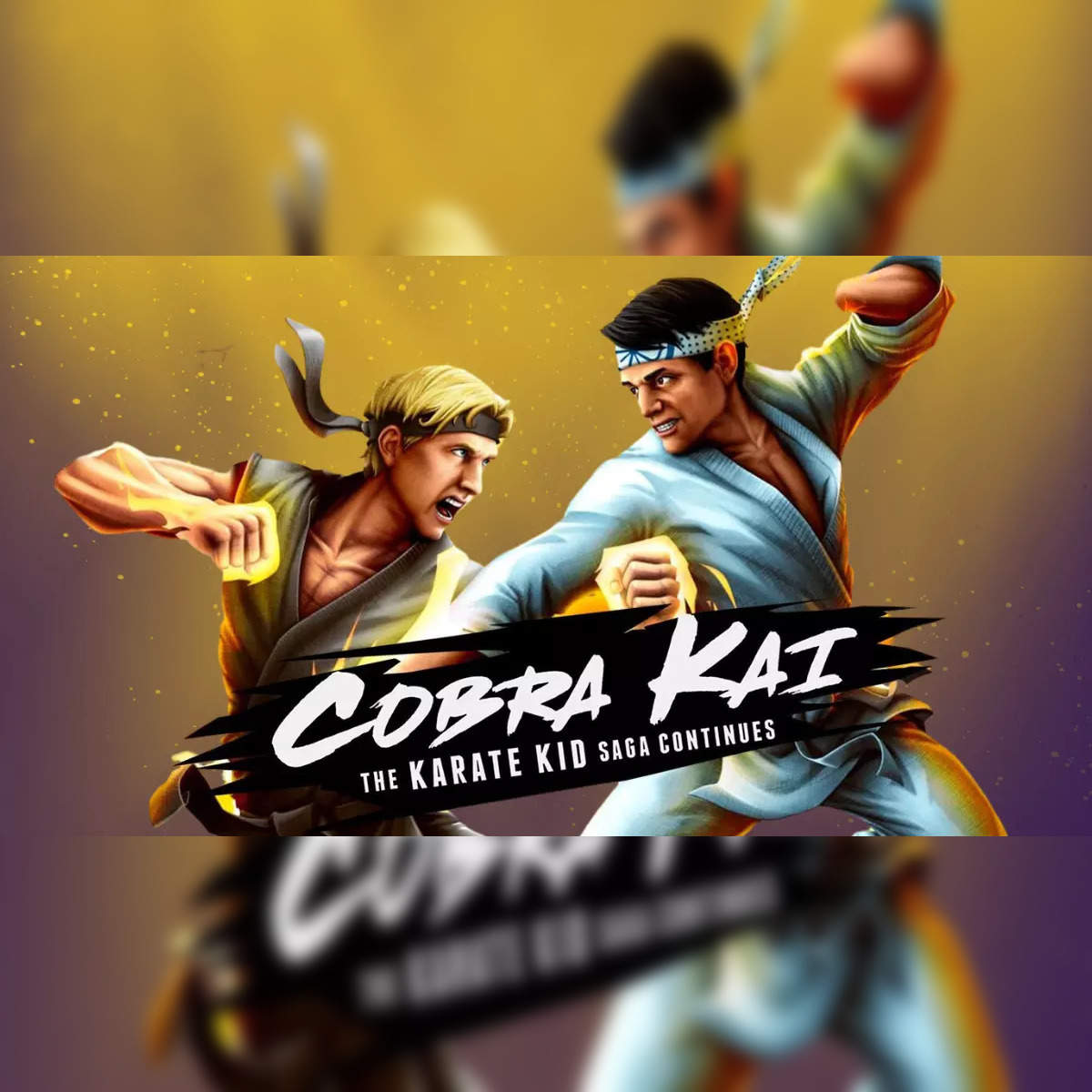 Cobra Kai and The Karate Kid Store – Cobra Kai Store