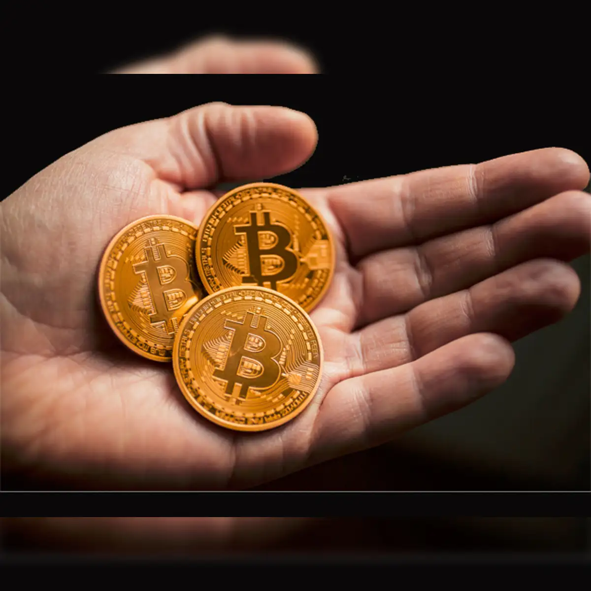 cryptocurrency auction: Cashing in on bitcoins: French government to pocket  $30 mn from first-ever cryptocurrency auction - The Economic Times