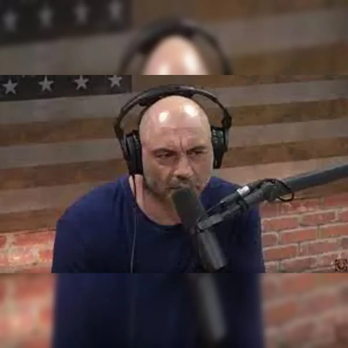 Jessica Rogan Facts About Joe Rogan Wife Children Net Joe Rogan With