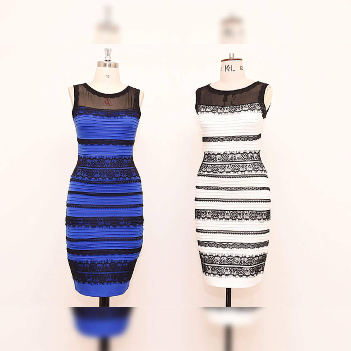 The one image that will help you understand the mystery of the white and gold  dress | Black and blue dress, White gold dress, Optical illusion dress