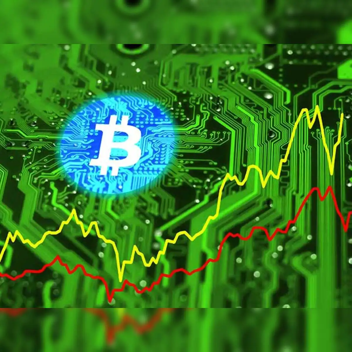 cryptocurrency: Indonesia warns against dealing in cryptocurrency - The  Economic Times