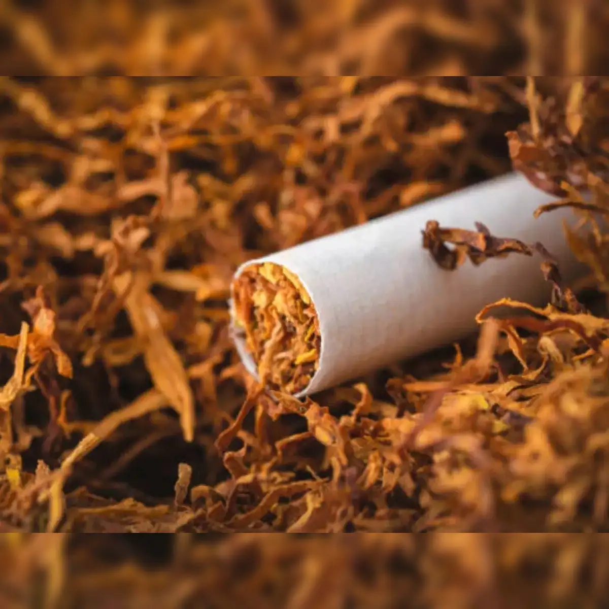 when was tobacco introduced to japan Awa Ikeda Tobacco Museum