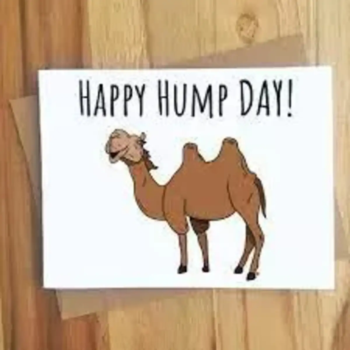 Happy Hump Day Funny Images - Infoupdate.org