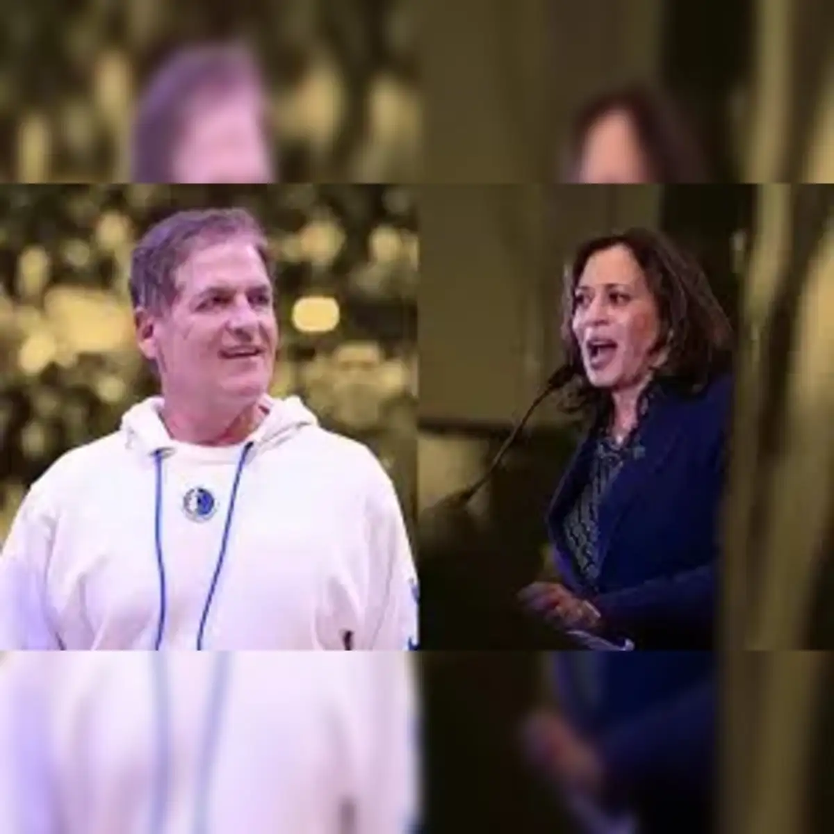 mark cuban: Why has Mark Cuban deleted his pro-Harris tweets after her  dismal election results? He has this for explanation - The Economic Times