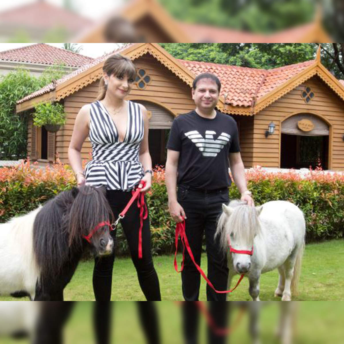 yohan poonawalla: No horsing around: What made Yohan Poonawalla shift from  riding to driving - The Economic Times