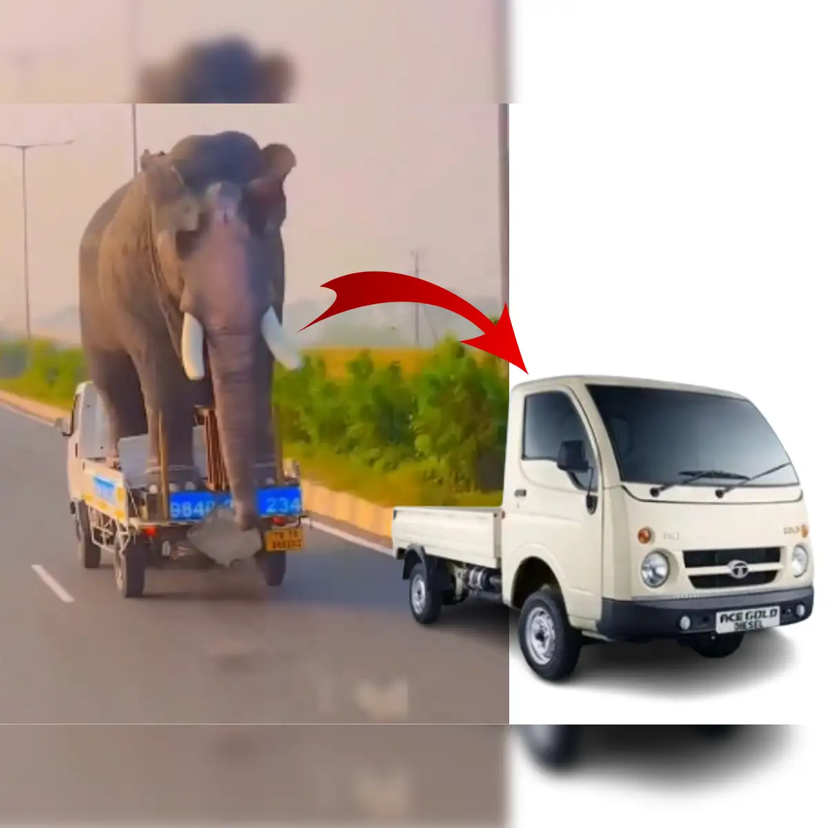 Viral video: When Tata Motors Chota Hathi with an elephant on it beats  Hyundai Creta - The Economic Times